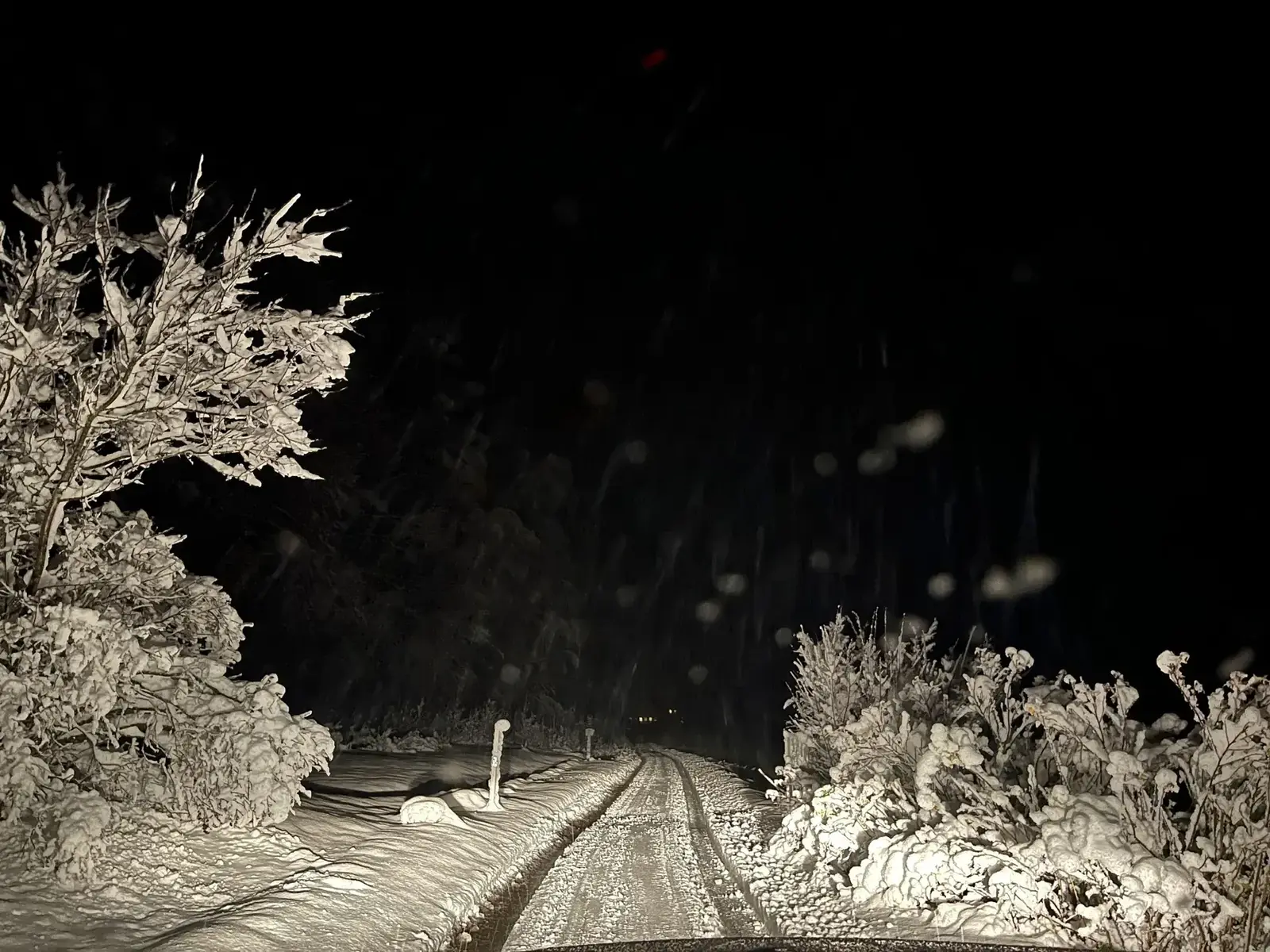 Snowy Finnish road lit by headlights on a dark night